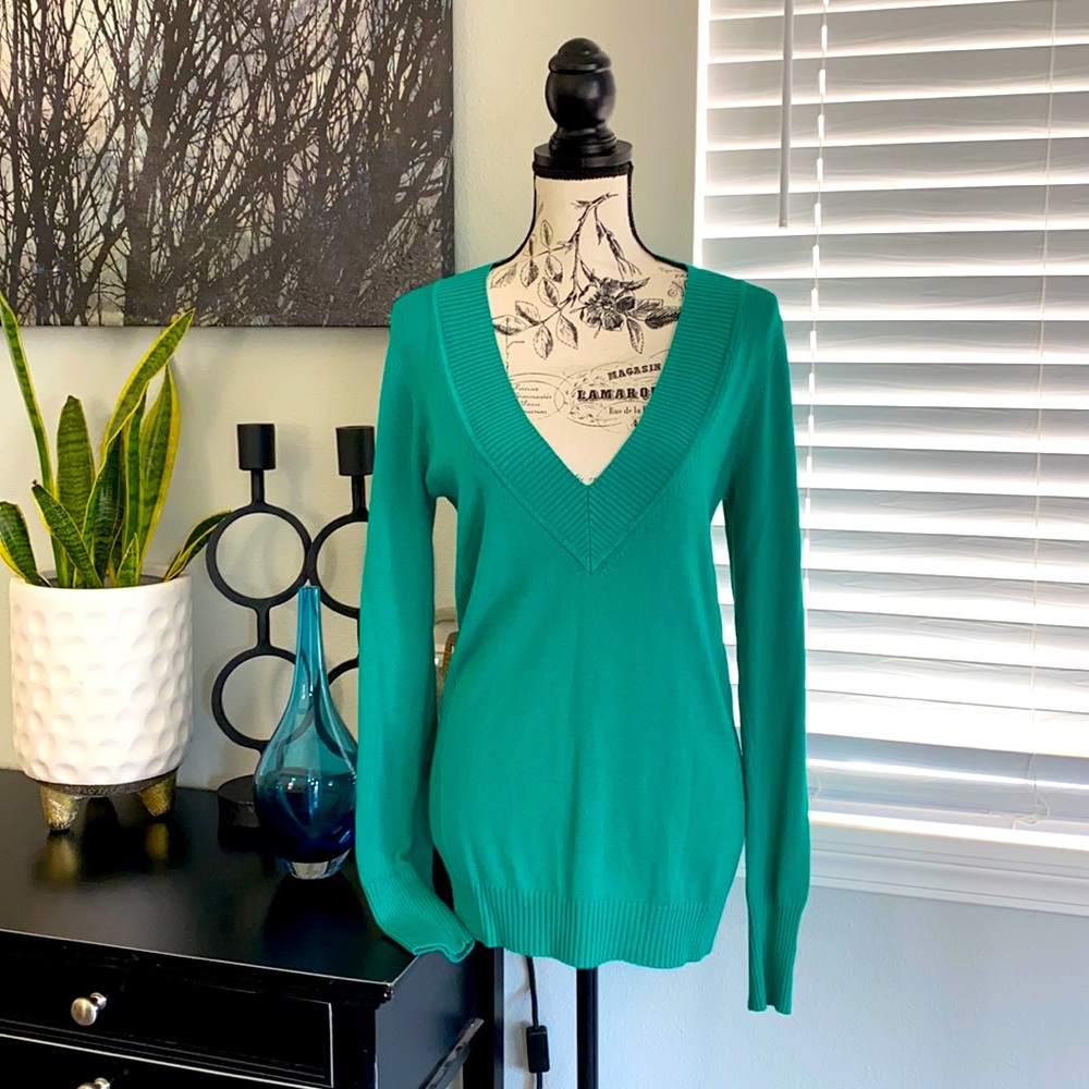 EXPRESS DESIGN STUDIO Green V-Neck Sweater L